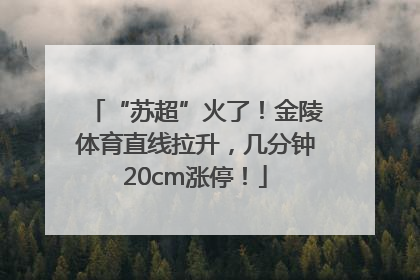 “苏超”火了！金陵体育直线拉升，几分钟20cm涨停！