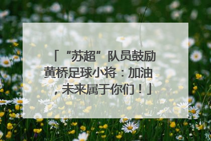 “苏超”队员鼓励黄桥足球小将：加油，未来属于你们！
