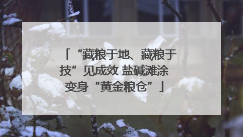 “藏粮于地、藏粮于技”见成效 盐碱滩涂变身“黄金粮仓”