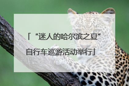 “迷人的哈尔滨之夏”自行车巡游活动举行