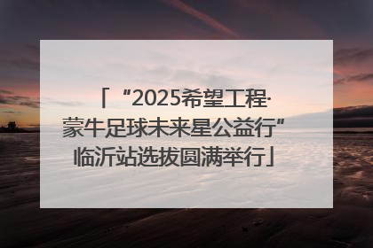 “2025希望工程·蒙牛足球未来星公益行”临沂站选拔圆满举行