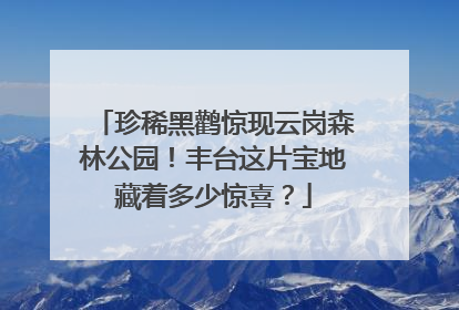 珍稀黑鹳惊现云岗森林公园！丰台这片宝地藏着多少惊喜？