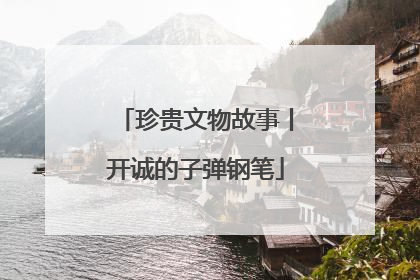 珍贵文物故事丨开诚的子弹钢笔