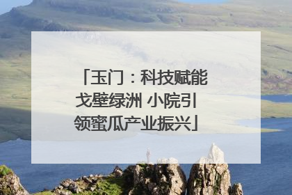 玉门：科技赋能戈壁绿洲 小院引领蜜瓜产业振兴