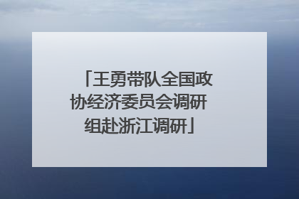 王勇带队全国政协经济委员会调研组赴浙江调研