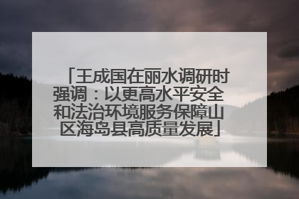 王成国在丽水调研时强调：以更高水平安全和法治环境服务保障山区海岛县高质量发展