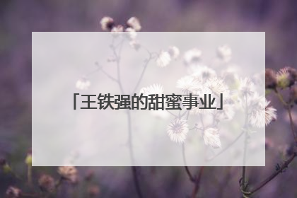 王铁强的甜蜜事业