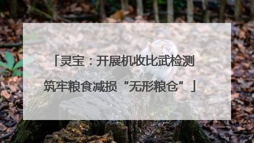 灵宝：开展机收比武检测 筑牢粮食减损“无形粮仓”