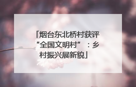 烟台东北桥村获评“全国文明村”：乡村振兴展新貌
