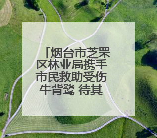 烟台市芝罘区林业局携手市民救助受伤牛背鹭 待其康复后放归自然