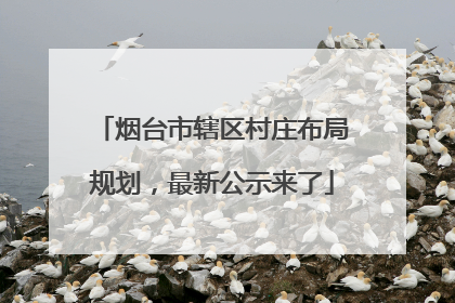 烟台市辖区村庄布局规划，最新公示来了