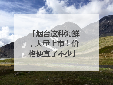 烟台这种海鲜，大量上市！价格便宜了不少