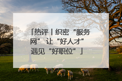 热评丨织密“服务网” 让“好人才”遇见“好职位”
