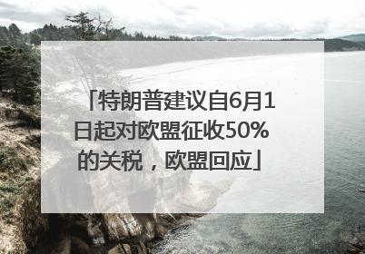 特朗普建议自6月1日起对欧盟征收50%的关税，欧盟回应