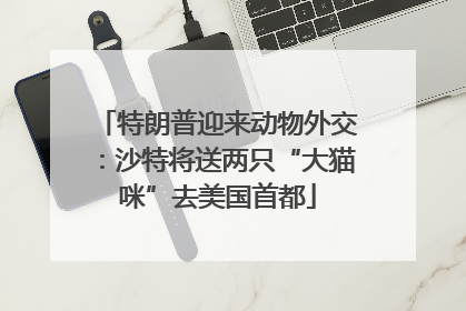 特朗普迎来动物外交：沙特将送两只“大猫咪”去美国首都