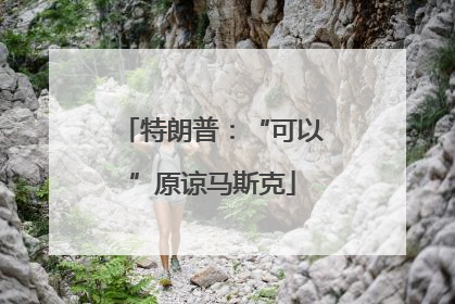 特朗普：“可以”原谅马斯克