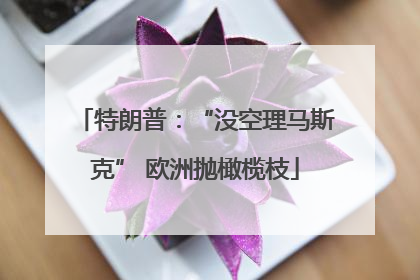 特朗普：“没空理马斯克” 欧洲抛橄榄枝