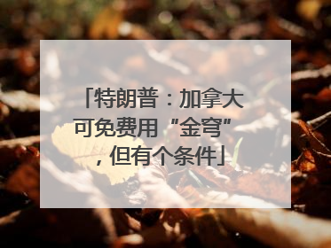 特朗普：加拿大可免费用“金穹”，但有个条件