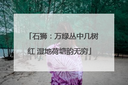 石狮：万绿丛中几树红 湿地荷塘韵无穷