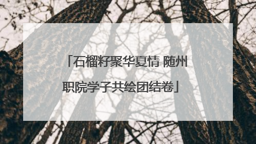 石榴籽聚华夏情 随州职院学子共绘团结卷