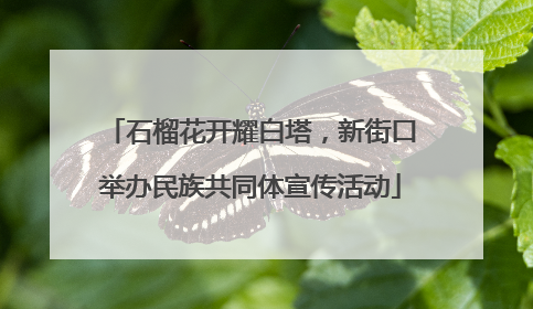 石榴花开耀白塔，新街口举办民族共同体宣传活动