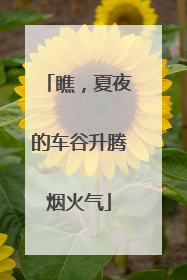 瞧，夏夜的车谷升腾烟火气