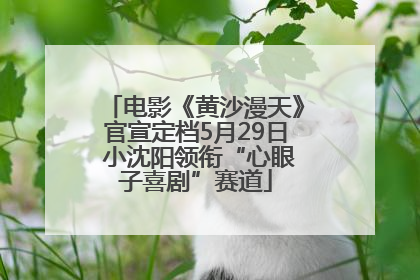 电影《黄沙漫天》官宣定档5月29日 小沈阳领衔“心眼子喜剧”赛道