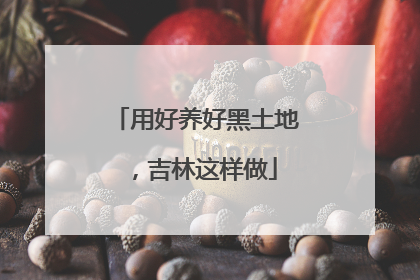 用好养好黑土地，吉林这样做