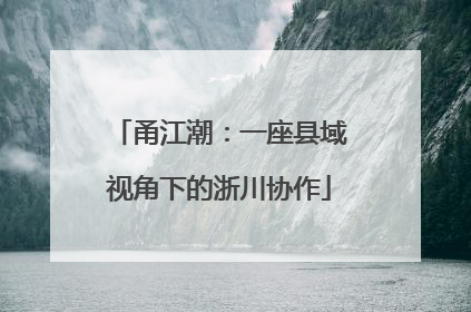 甬江潮：一座县域视角下的浙川协作