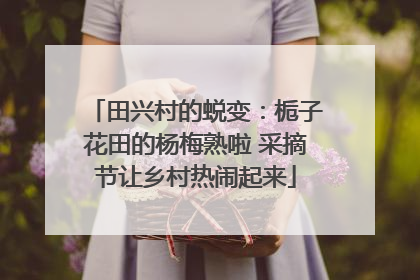 田兴村的蜕变：栀子花田的杨梅熟啦 采摘节让乡村热闹起来