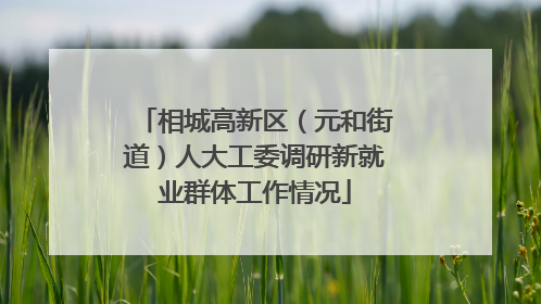 相城高新区（元和街道）人大工委调研新就业群体工作情况