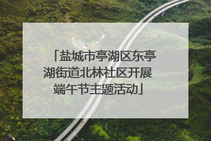 盐城市亭湖区东亭湖街道北林社区开展端午节主题活动