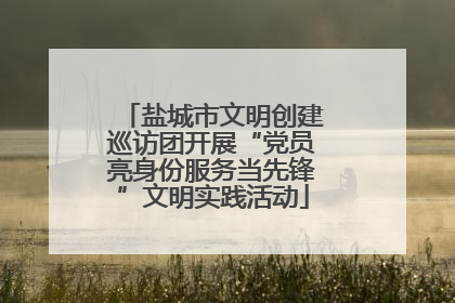 盐城市文明创建巡访团开展“党员亮身份服务当先锋”文明实践活动