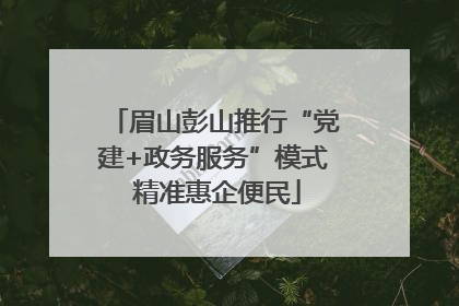 眉山彭山推行“党建+政务服务”模式 精准惠企便民