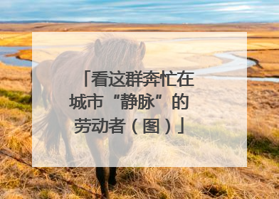 看这群奔忙在城市“静脉”的劳动者（图）