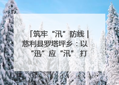 筑牢“汛”防线｜慈利县罗塔坪乡：以“迅”应“汛” 打赢暴雨防御战