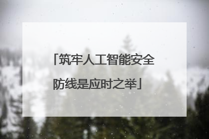筑牢人工智能安全防线是应时之举