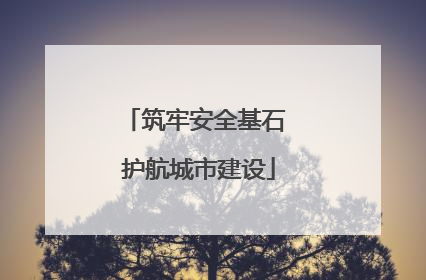 筑牢安全基石 护航城市建设