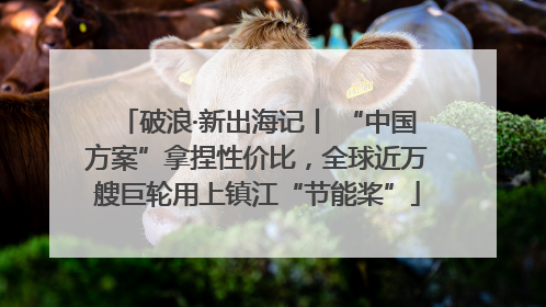破浪·新出海记丨 “中国方案”拿捏性价比，全球近万艘巨轮用上镇江“节能桨”