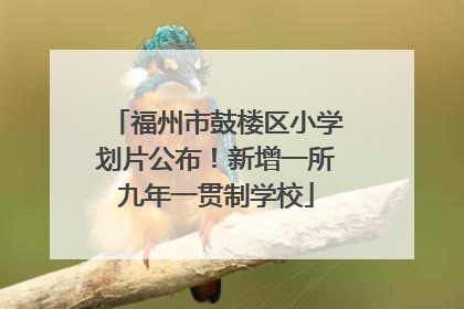福州市鼓楼区小学划片公布！新增一所九年一贯制学校
