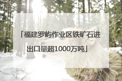 福建罗屿作业区铁矿石进出口量超1000万吨