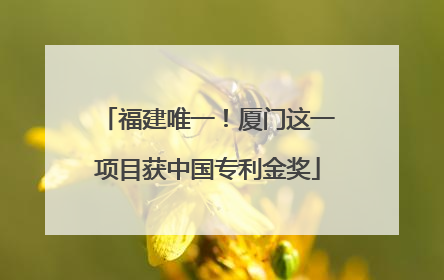 福建唯一！厦门这一项目获中国专利金奖