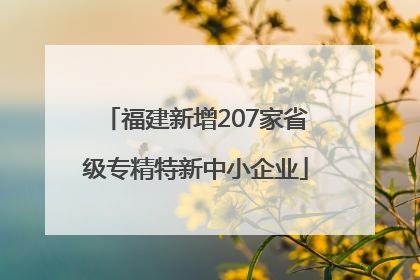 福建新增207家省级专精特新中小企业