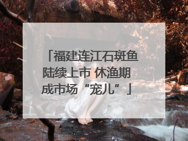 福建连江石斑鱼陆续上市 休渔期成市场“宠儿”