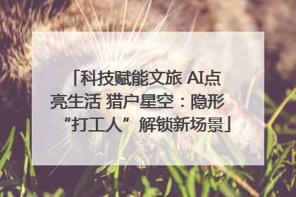 科技赋能文旅 AI点亮生活 猎户星空：隐形“打工人”解锁新场景