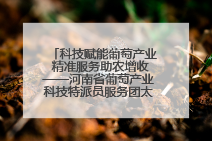 科技赋能葡萄产业 精准服务助农增收——河南省葡萄产业科技特派员服务团太康县科技服务纪实