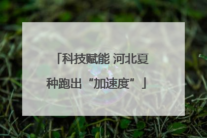 科技赋能 河北夏种跑出“加速度”