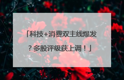 科技+消费双主线爆发？多股评级获上调！