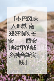 秦巴风味入地铁 南郑好物映长安——西安地铁里的城乡融合新实践