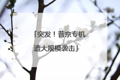 突发！普京专机遭大规模袭击